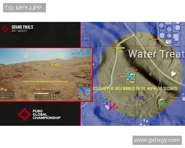 吃鸡打靶比赛-热血激战，吃鸡打靶比赛的魅力与挑战-吃鸡打靶比赛